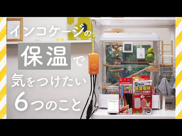 インコケージの保温で気をつけたい6つのこと - YouTube