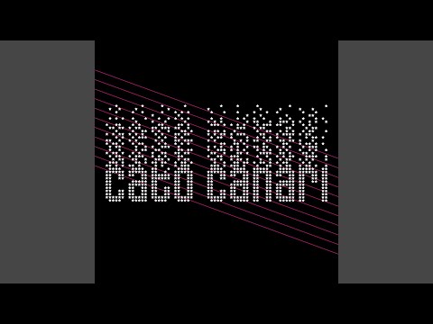 Cato Canari — Never Leave Me