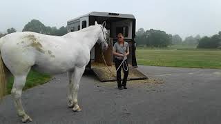 Acerra: 6-28-2020 (2/2) Trailer Loading Lesson Continued