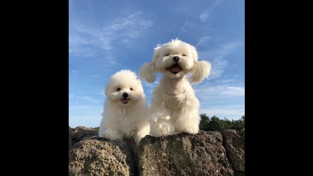 [FREE] weiland x summrs type beat - "loser" (prod. silo)