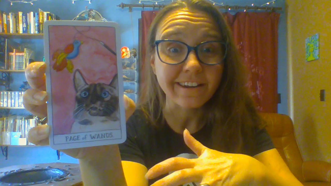 Daily Tarot - Cat Tarot Deck - Page of Wands