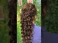 Gorgeous Party Hairstyle in 5 Minutes