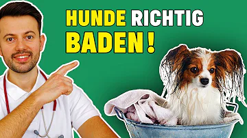 Was passiert wenn man einen Hund nicht wäscht?