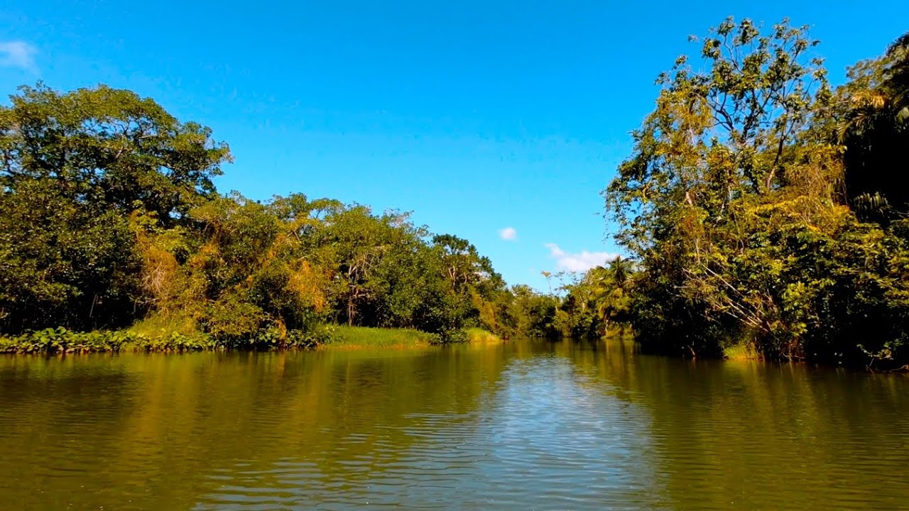 Dulce River, Lake Izabal, Guatemala GoPro 1080p