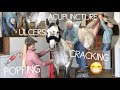 Horse Chiropractic Adjustment Vlog