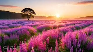 Relaxing Instrumental Music🌿Light Healing Music for Health and Nervous System, Refreshing the Soul