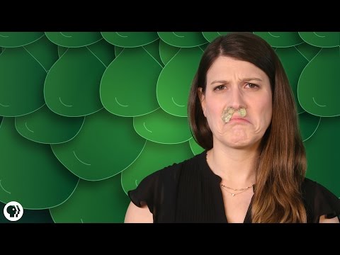 Everything You Didn&rsquo;t Want To Know About Snot