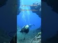 Diving the Azores Means Giant Mantas, Whale Sharks and Ocean Wilderness #Shorts