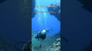 Diving the Azores Means Giant Mantas, Whale Sharks and Ocean Wilderness #Shorts