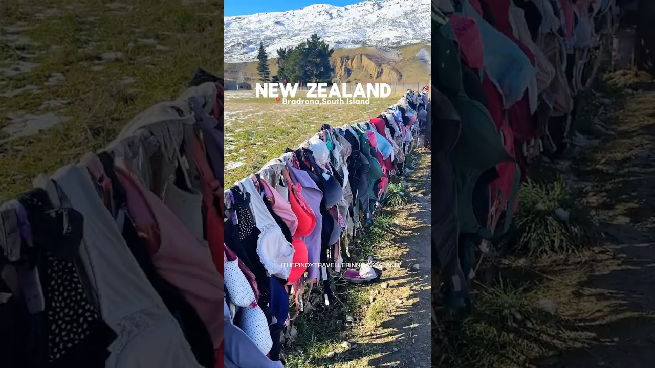 A fence full of bras and a whole lot of heart 💗Only in New Zealand 