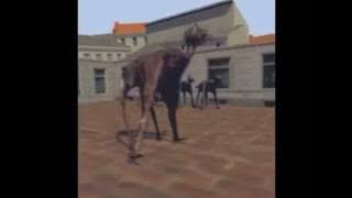 FIVE POIN T OH 1 67.77777 45.444444 12:34