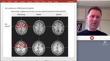The psycholinguistics of bilingualism - neurolinguistics