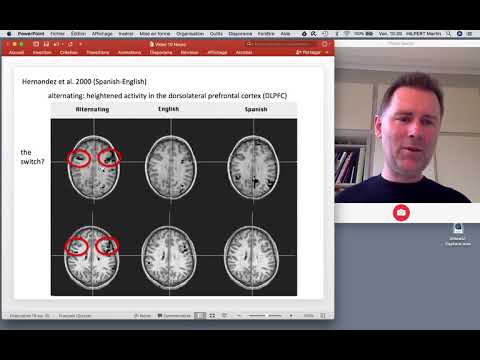 The psycholinguistics of bilingualism - neurolinguistics