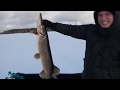 Мега уловы  Подборка мега удачи на рыбалке