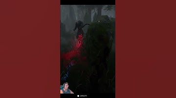 Dead by Daylight - 2v8 - When Learning to Loop Goes Right and Wrong #dbd #deadbydaylight #2v8