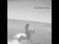 اغنية عاشك ودور اجواء والدنية ضلمة