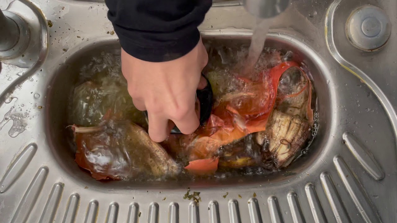 sink triturator🏄‍♀️ 🥬🥕(satisfying video) triturador de comida 🏄‍♀️ 🥬🥕