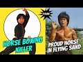 Wu Tang Collection - Horse Boxing Killer + Proud Horse in Flying Sand