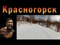 Лыжная трасса в Красногорске 8.2 км. Равнинный круг