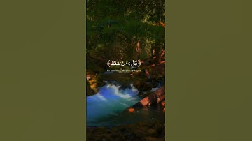 عبدالرحمن مسعد | سورة الحجر