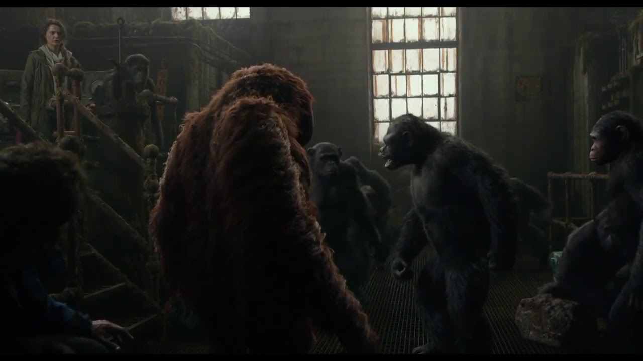 Dawn Of The Of The Apes Caesar Vs Koba aaronshellee