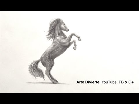 Cómo dibujar un caballo - Arte Divierte - thptnganamst.edu.vn