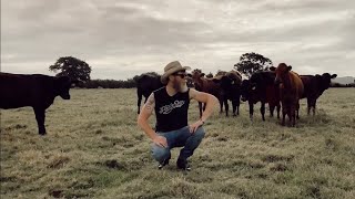 South Gilly (Welcome To) T-Bone Marmaduke & The Massive Gamble (Official Music Video)