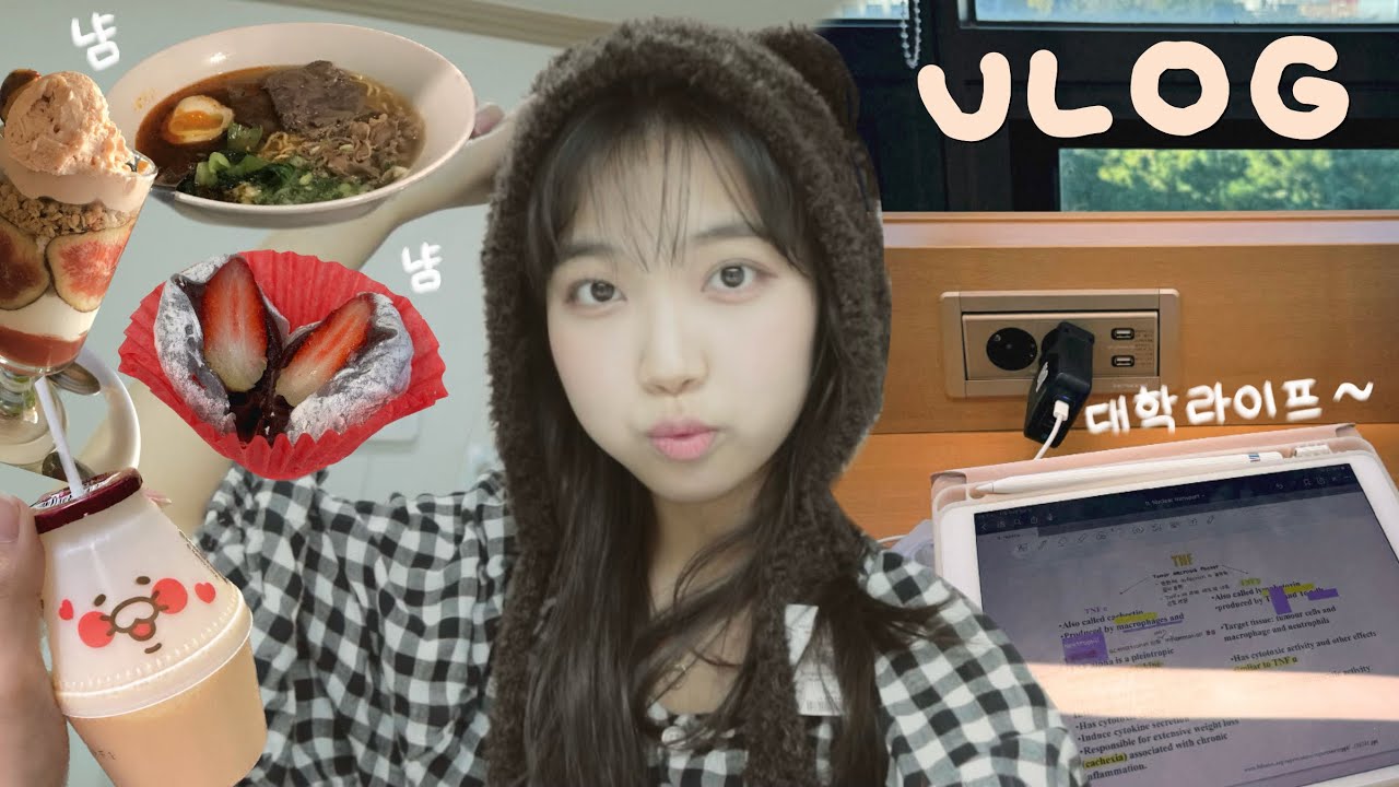 🗣️3학년이 놀고 먹기만 해도 되나요? 👤곧 시험기간이래요.. | 대학생 브이로그, 가족들과 일상