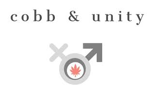 cobb & unity :: season one :: episode four :: it's personal
