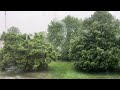 Tally Hall Spring and a Storm but I'm Actually In a Storm