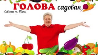 Голова садовая - Обрезка плетей огурцов. Для чего? И когда?