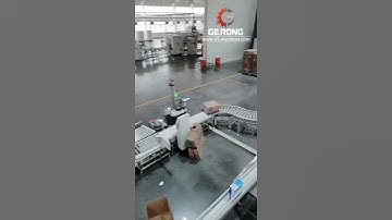 Paper tissue bag robot hand carotning machine encasing line