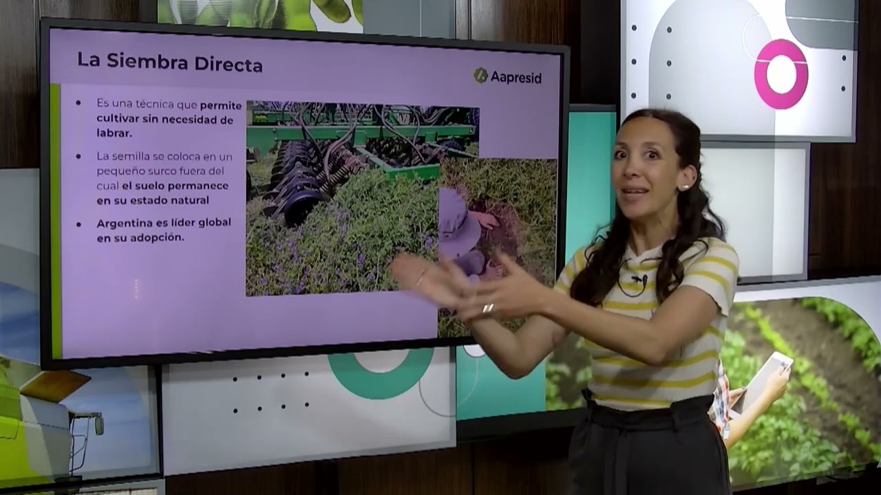 Módulo 2 - La Siembra Directa