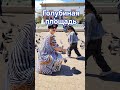 Голуби #maghrib #марокко #maghreb #maroc #casablanca #city #citylife #youtube #youtubeshorts #