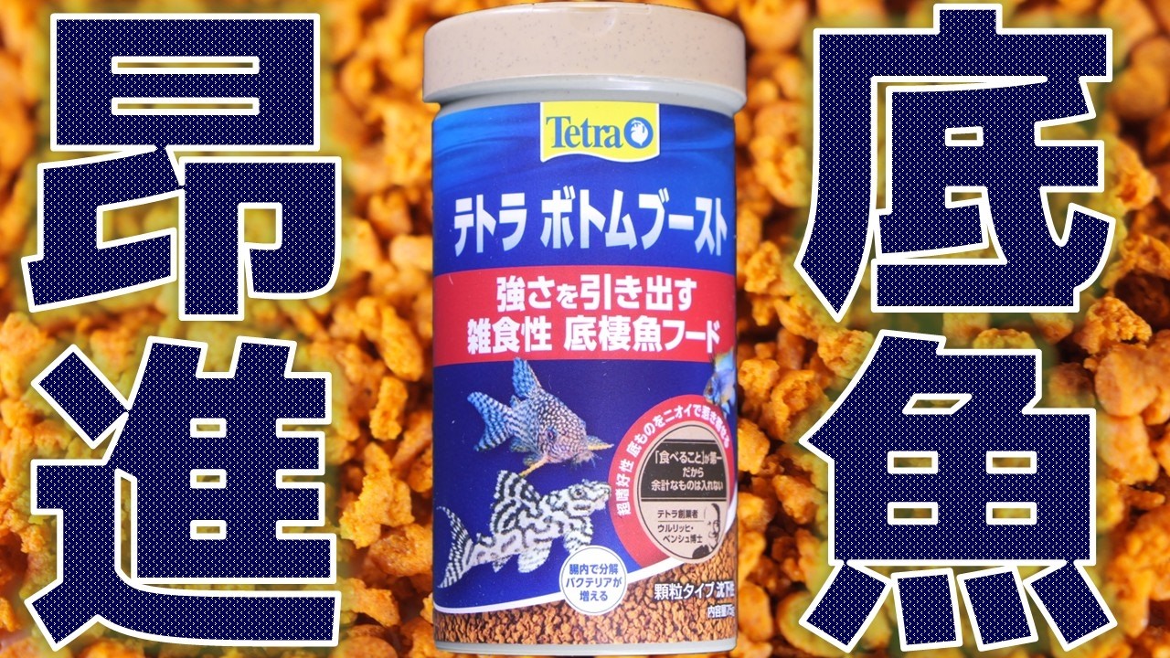 【餌】底棲魚をニオイで引き寄せる脱タブレット。スペクトラムブランズジャパン テトラ ボトムブースト75g【ふぶきテトラ】