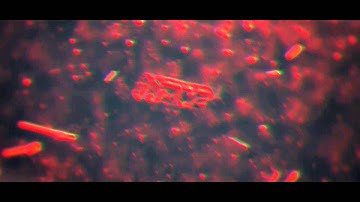 Intro TEMPLATE #72 | Cinema 4D e After Effects | Free Download |