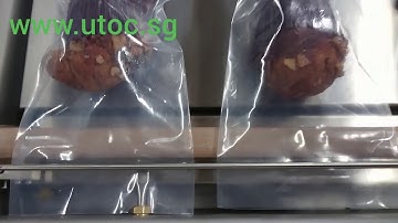 Pacseal Chamber Vacuum Packaging Machine with Gas Flush Feature