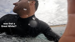 Great White Shark breaches and sends me packing | RAW POV CLIP