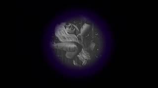 Swanns Muzic Collateral Love Official Audio