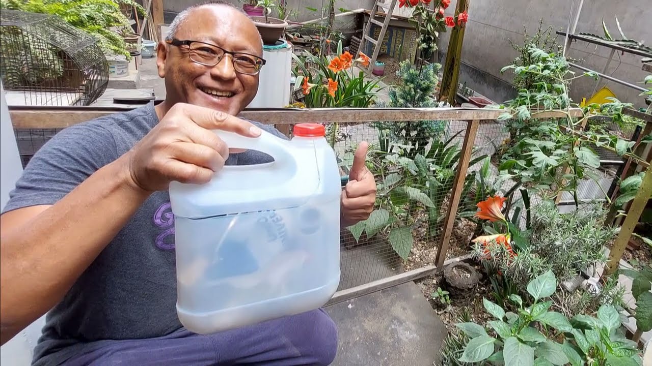 Reciclando una galonera de plástico - Organizador