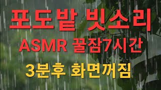 깊은숲 빗소리,RainSounds,편안한수면,ASMR,3분후 어두운화면.