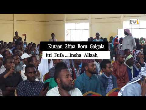 DARGAGGOO CALANQOO KUTAA 2FFAA