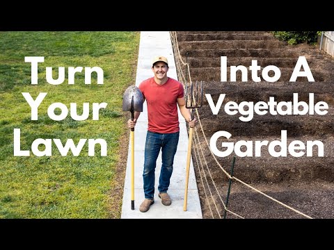 Video: Let's make the garden plot beautiful - planting a lawn