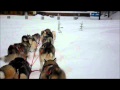 video 12 huskies pulling me...