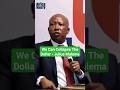 We can collapse the dollar  julius malema