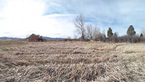 Ricoh theta Sc2 backyard test