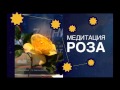 Медитация Роза Ясен Николов тайните на сърцето