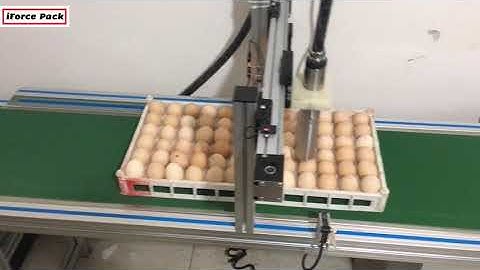 Automatic egg tray ink jet printing machine red color ink jet printer line with conveyor