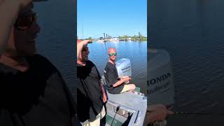 Zander fangen wir nicht!!! #fishing #topwater