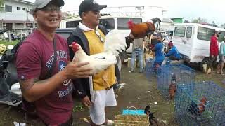 tambalang boss perry at boss mac solid mga manok